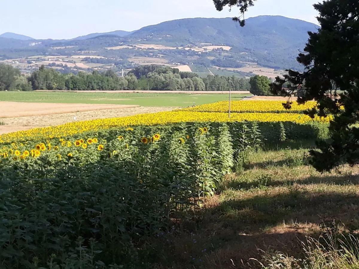 Villa Fattoria di Marena Bibbiena